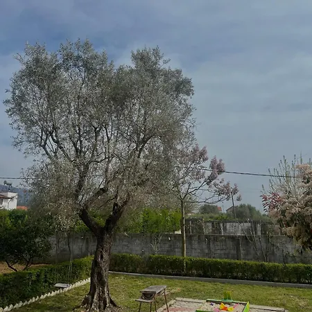 3 Roots *