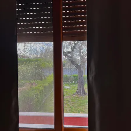Гостевой дом 3 Roots *
